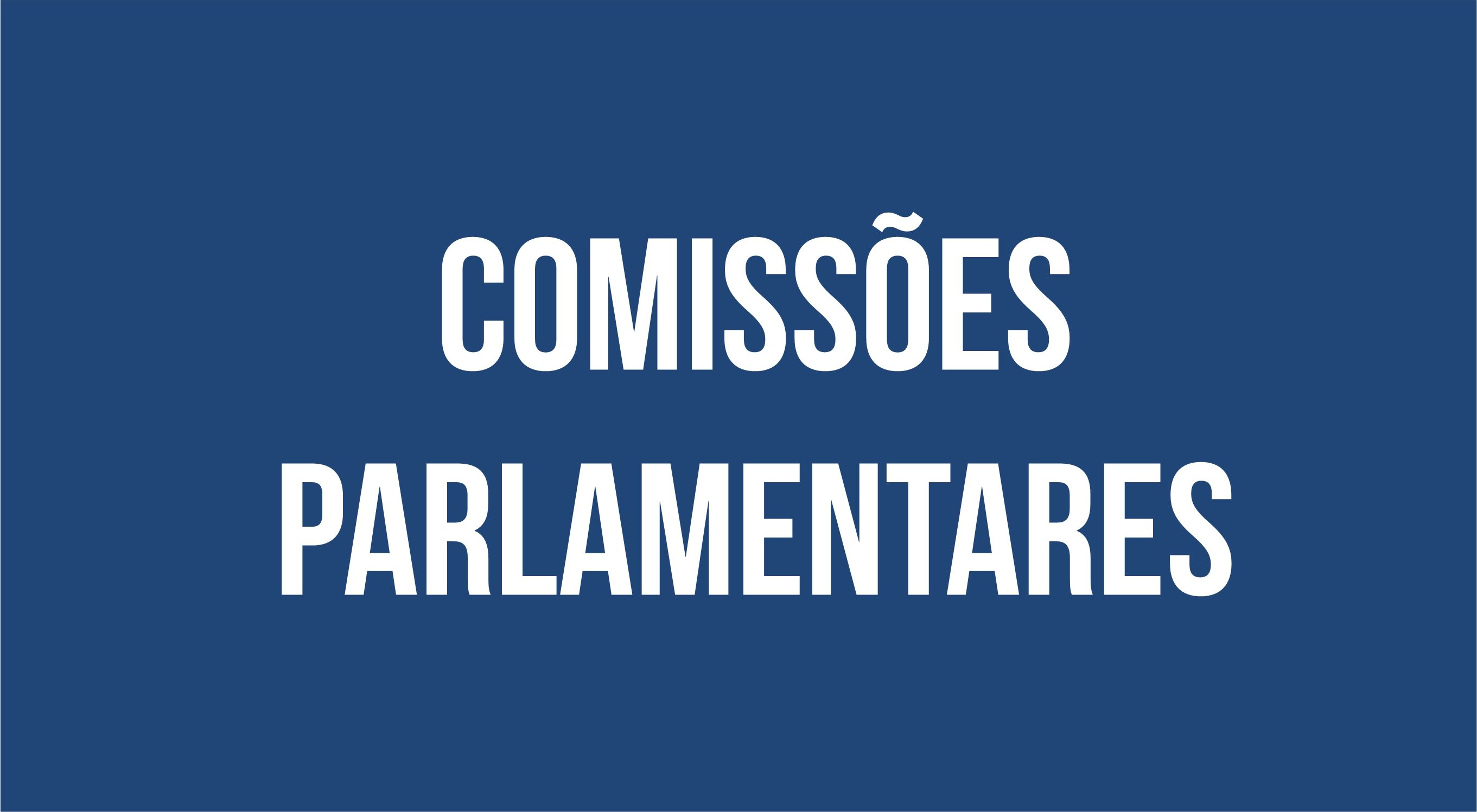 comissões parlamentares.jpg