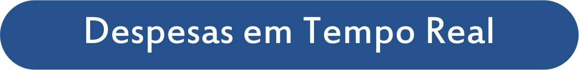 Despesas em Tempo Real.jpg
