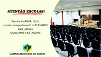 Agendas do Plenário da Câmara  encerram amanhã  para escolas municipais e estaduais