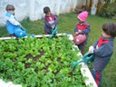Vereador sugere criação de hortas em escolas municipais