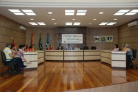 01/11/2016 - Audiência pública debate educação inclusiva em âmbito municipal