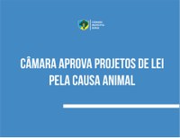 Câmara aprova projetos de Lei pela causa animal