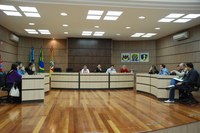 Comissão de Segurança realiza reunião sobre situação de fios sem manutenção