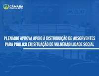 Moção de apoio à distribuição de absorventes é aprovada