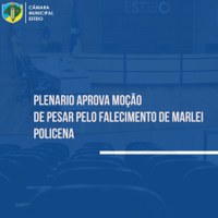 Plenário aprova Moção de Pesar pelo falecimento de Marlei Policena