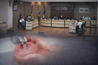 Plenário aprova requerimento para criar uma Comissão Especial de fiscalização da Corsan/Aegea