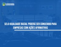 Plenário aprova sugestão de Selo Igualdade Racial para empresas 