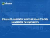 Vereador cobra explicações sobre viaduto abandonado na BR-448  