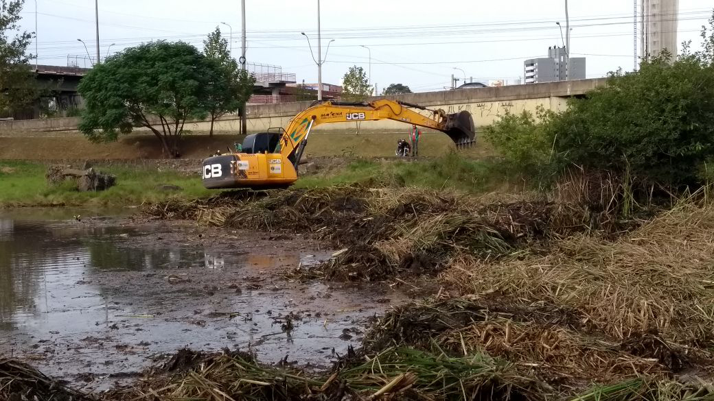 Vereador Márcio Alemão questiona prefeitura sobre poda de vegetação em área de reprodução de aves