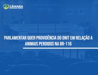 Vereador pede para Dnit facilitar denúncia de animais encontrados na BR-116