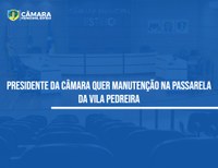 Vereadora solicita limpeza e manutenção na passarela da Vila Pedreira